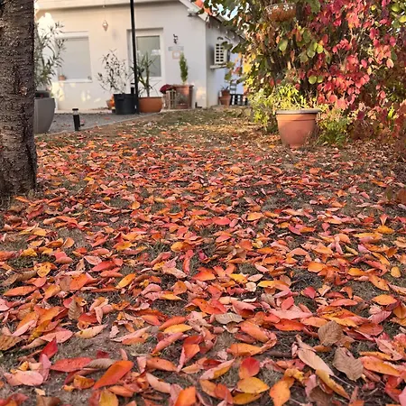Apartment Kis Haziko Vendeghaz Pécsvárad